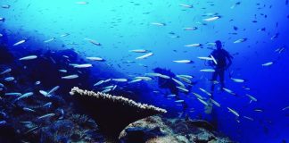 RODRIGUES: IMMERGERSI NELLE SFUMATURE DI BLU