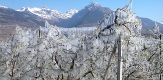 VALLESE, I PIACERI DEL PALATO