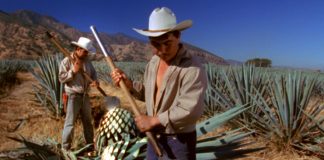 A RITMO DI TEQUILA