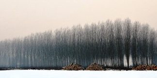LA RESILIENZA DEI TERRITORI