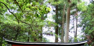 INTELLIGENZA ARTIFICIALE PER IL TURISMO A KIOTO